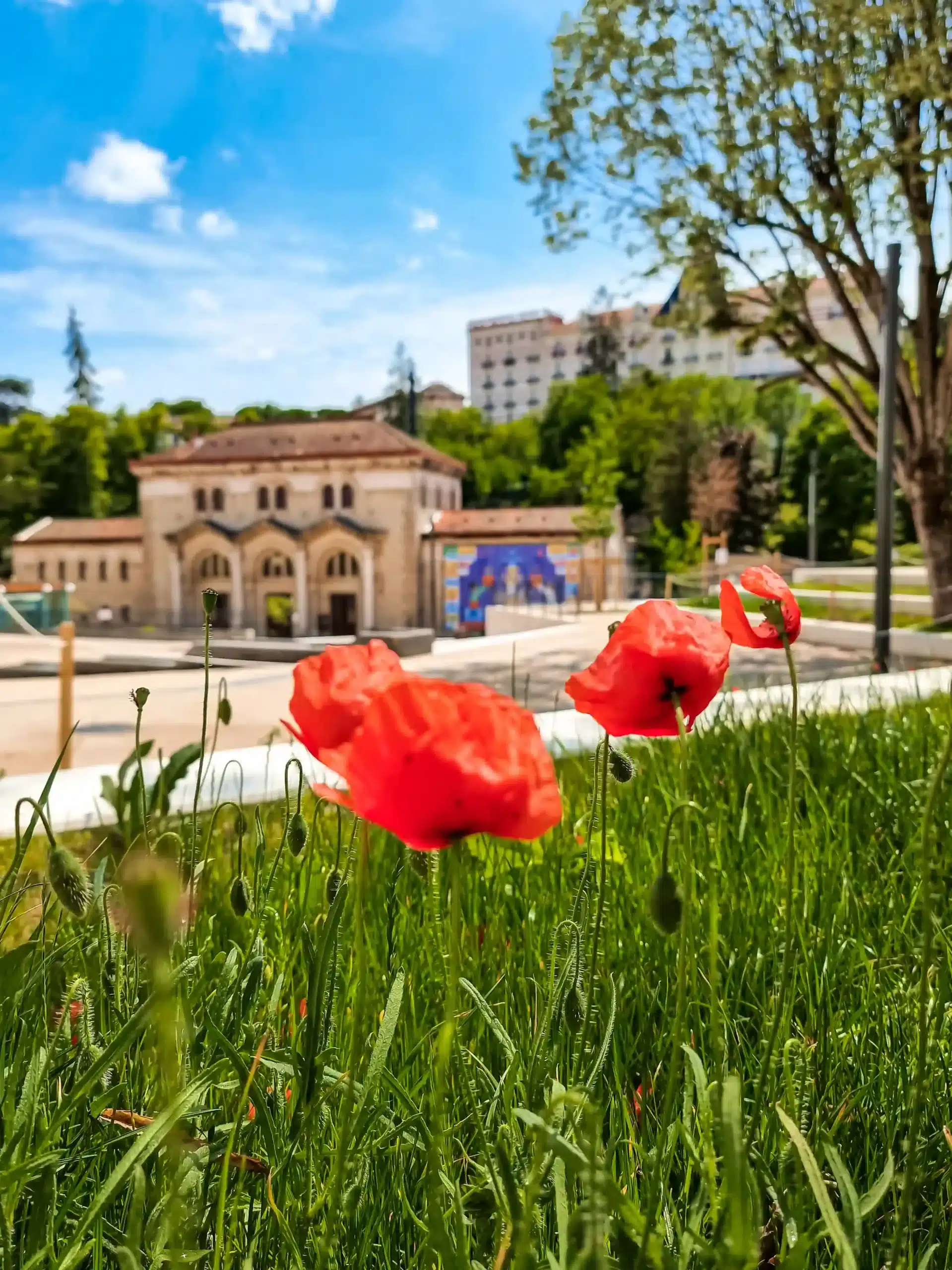Le parc thermal de Châtel-Guyon, au pied du Mont Chalusset